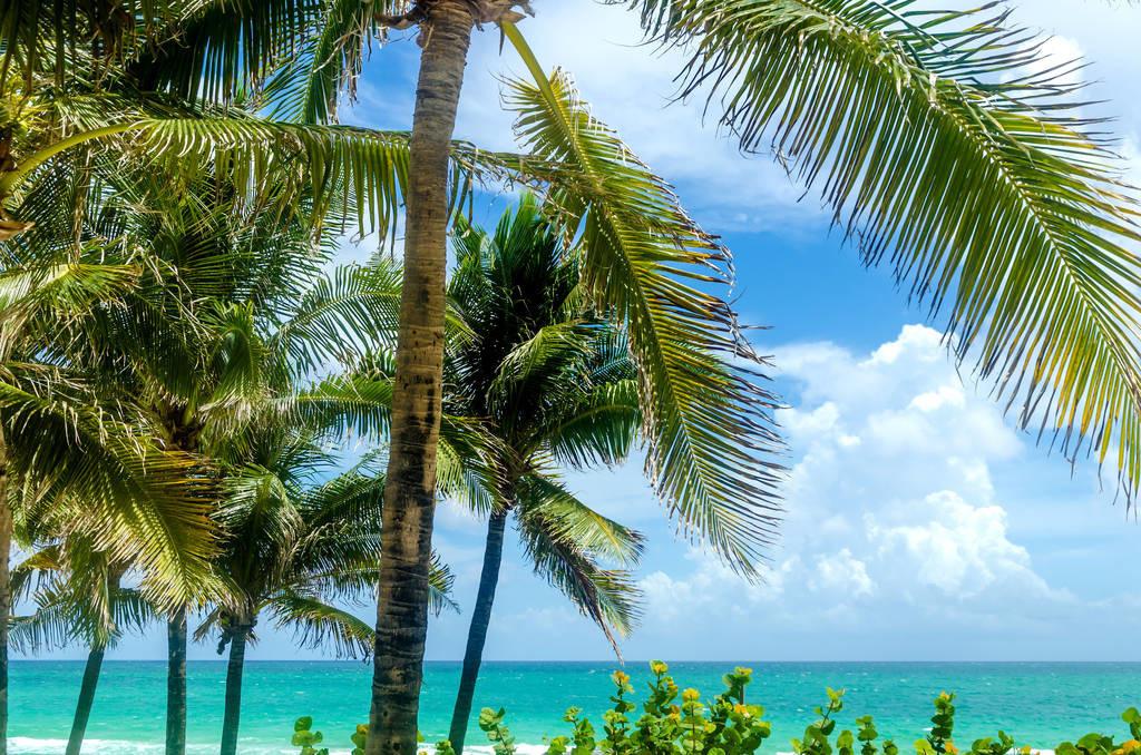 科技重塑旅行體驗(yàn)，最新付費(fèi)機(jī)場(chǎng)概覽