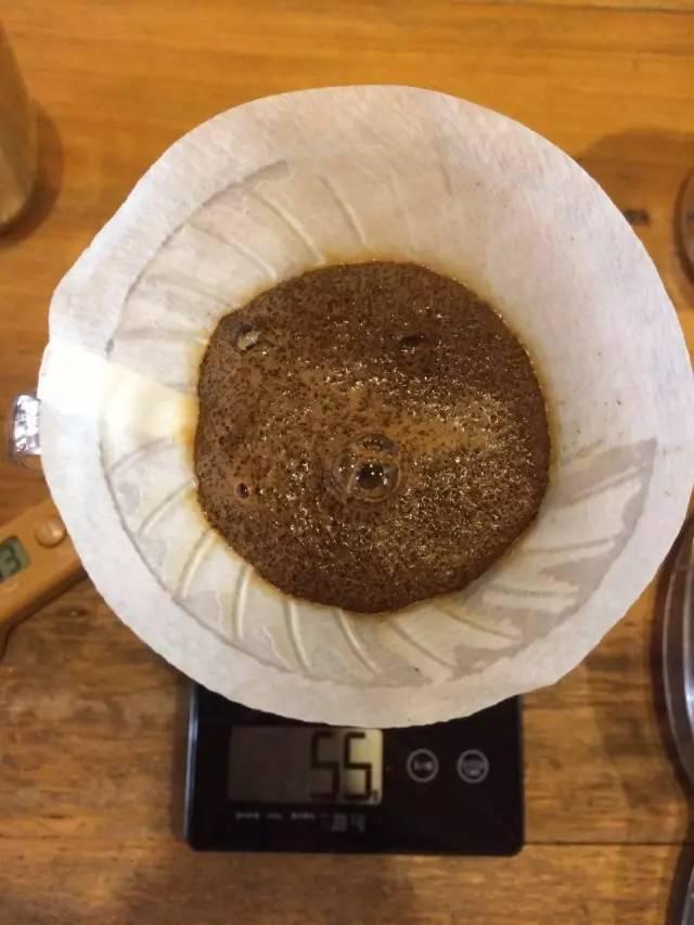 最新萃取法詳解，步驟指南與操作技巧