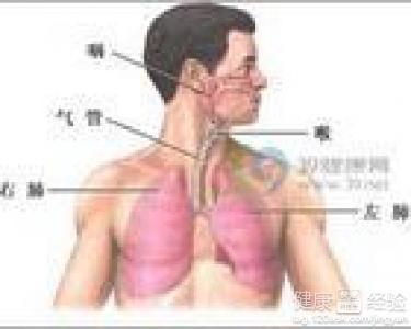 咸豐肺炎最新全面指南與詳解，癥狀、治療、步驟解析