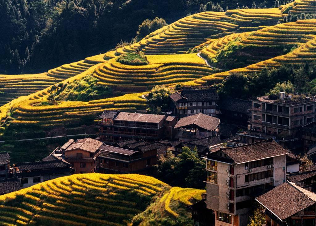 金秋天最新時尚潮流，獨特風(fēng)情展現(xiàn)魅力風(fēng)采