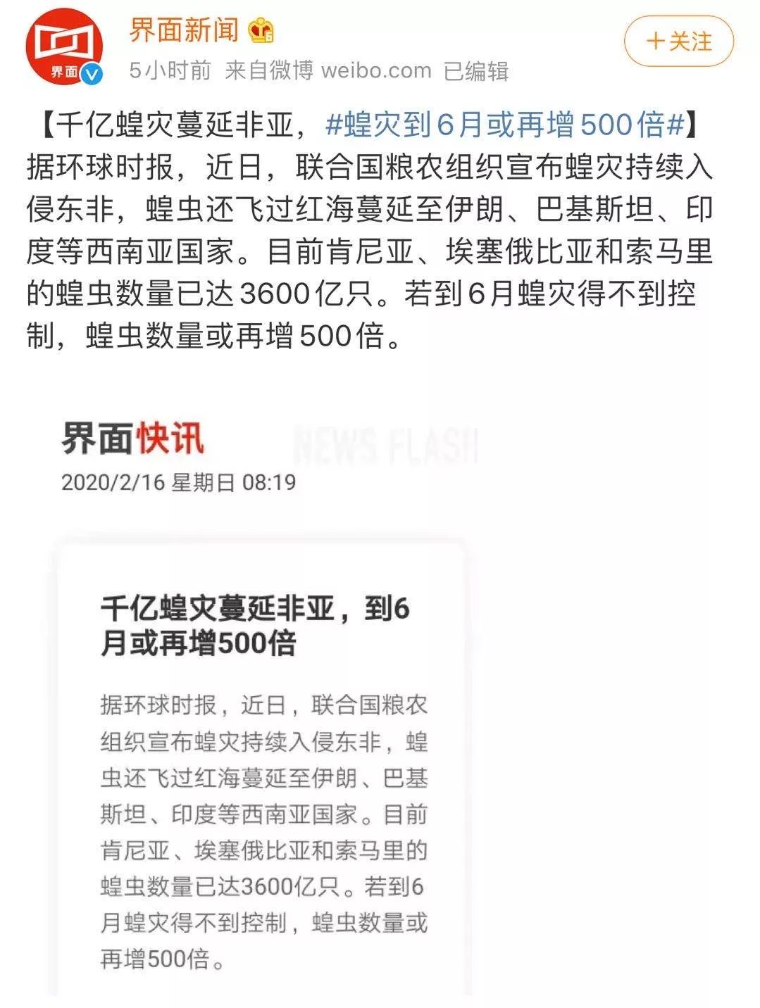 世界蝗災(zāi)最新動(dòng)態(tài)，探索自然美景的輕松之旅