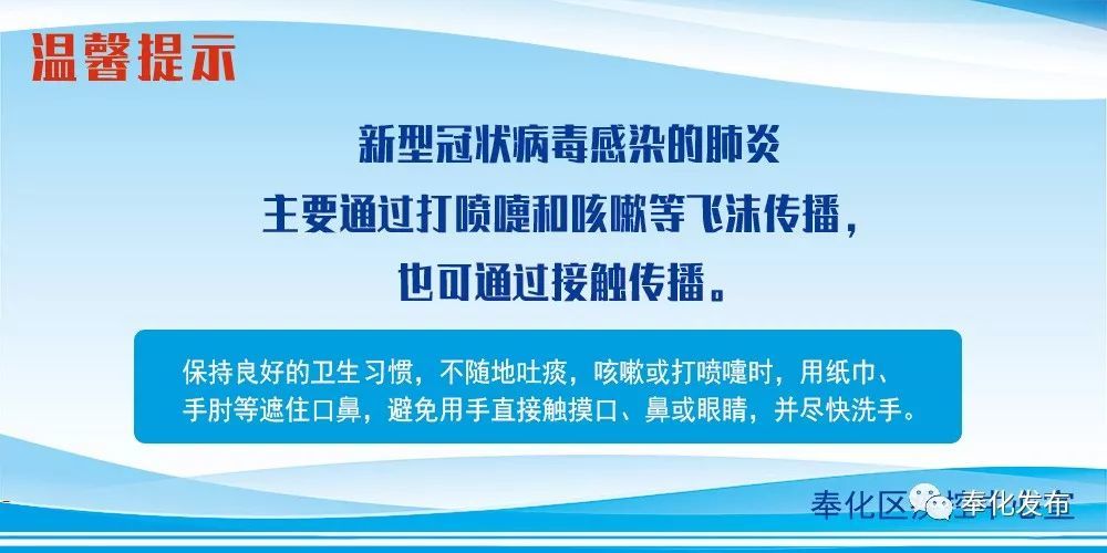 余姚最新確診背后的自然探索之旅，重拾心靈寧靜與平和