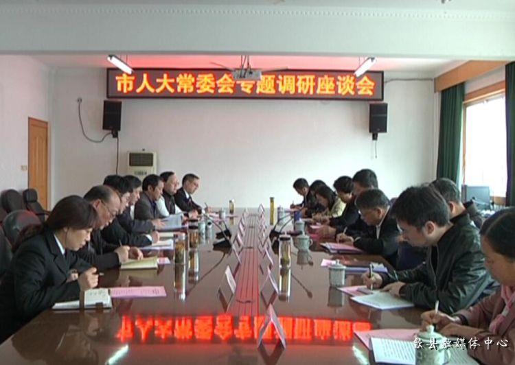 安徽歙縣最新動態(tài)，小巷深處的驚喜