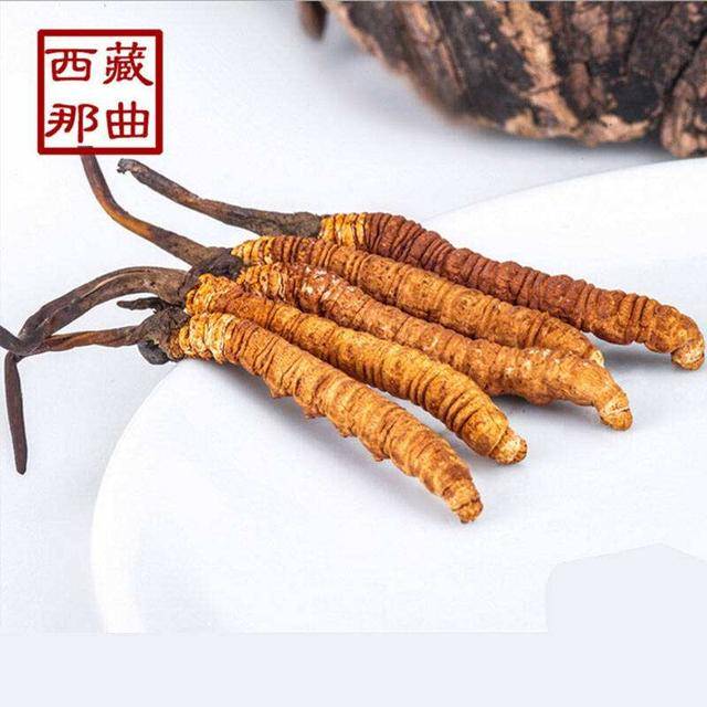 揭秘2025年蟲草最新價格，探尋小巷中的秘密行情！