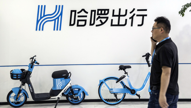 哈啰最新動態(tài)，擁抱自然美景的治愈之旅