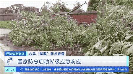 超強(qiáng)臺(tái)風(fēng)鸚鵡來襲，最新路徑動(dòng)態(tài)全解析???