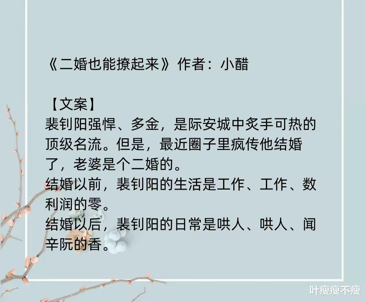 最新二婚小說，小巷深處的浪漫故事