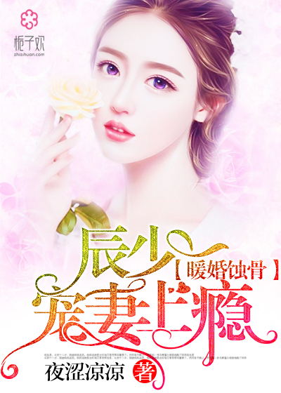 陸少寵上癮最新動態(tài)，日常趣事與真摯友情的獨(dú)特魅力