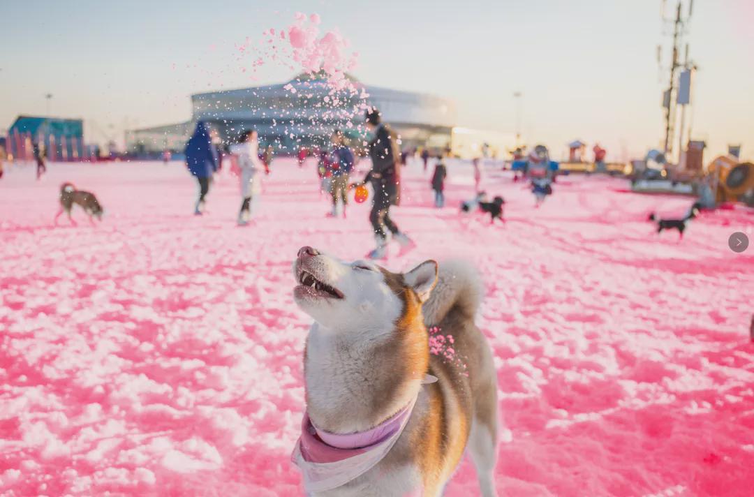 小信的世界最新科技前沿產(chǎn)品亮相，生活變革從此刻啟程